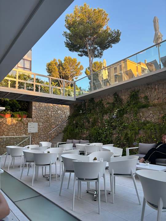 Gastro Reverence Life  - Adults only