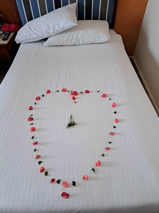 Zimmer Pharaoh Azur Resort