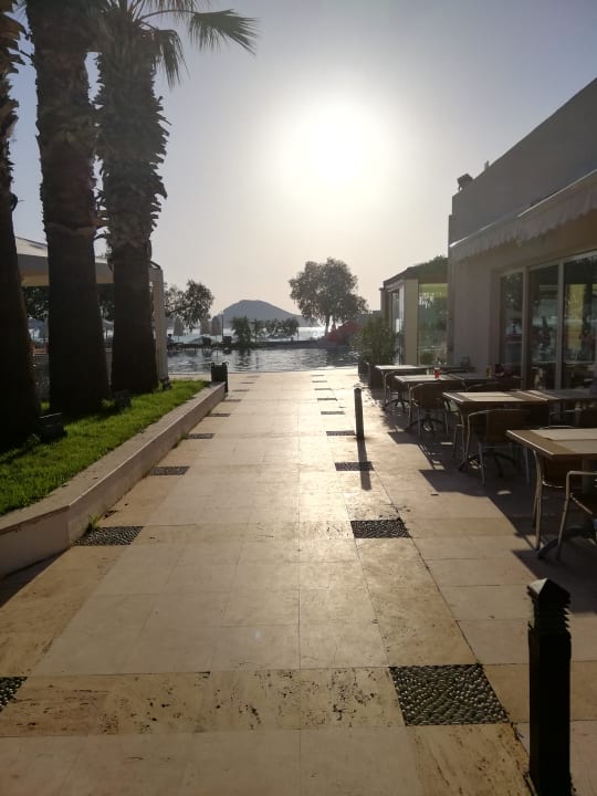 Ausblick aus der Lobby Solana by Yelken