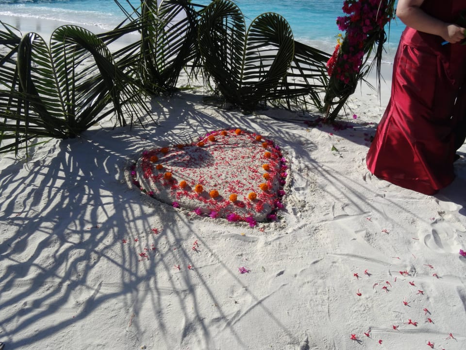 Deko zur Hochzeit Adaaran Select Meedhupparu Island Resort - Premium All Inclusive