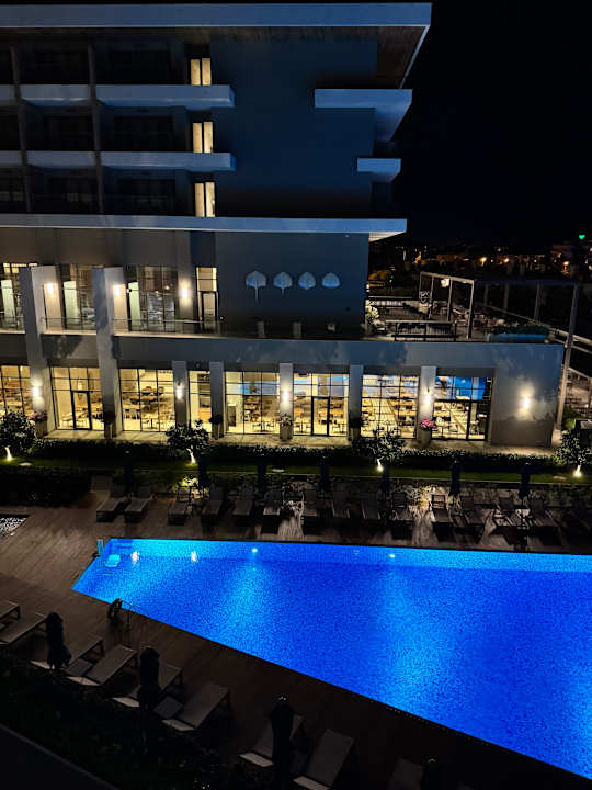 Pool Acanthus Cennet Barut Collection