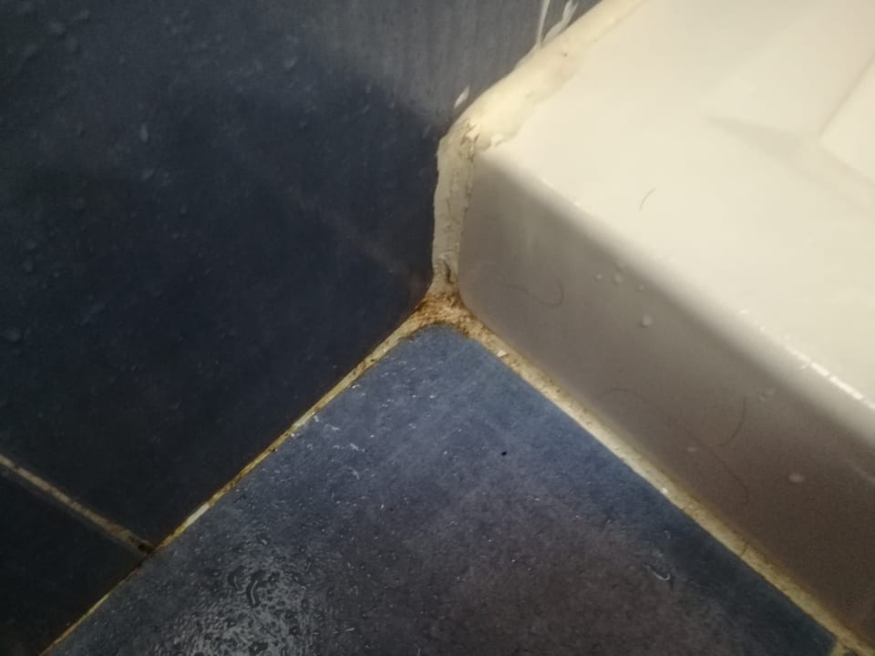 Zimmer Bungalows Vistaflor