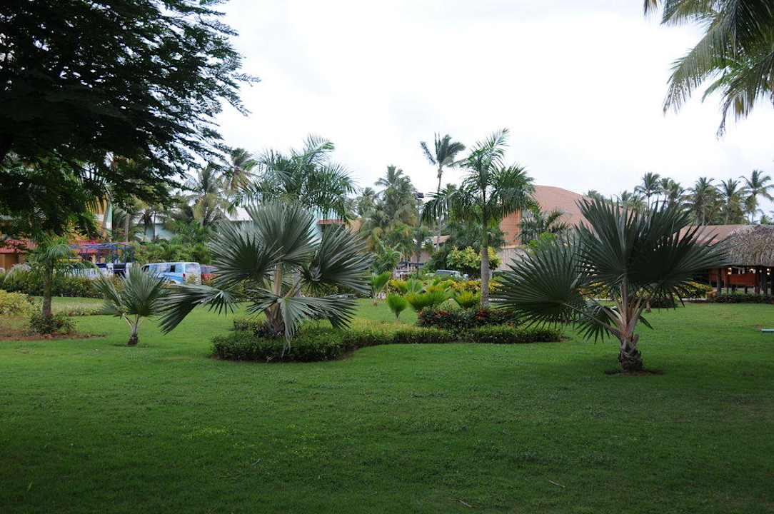 Gepflegte Gartenanlage Grand Palladium Select Bávaro Resort & Spa