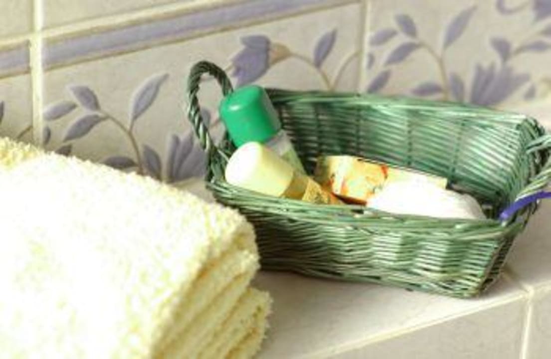 Zimmer Hotel Masia Ritz