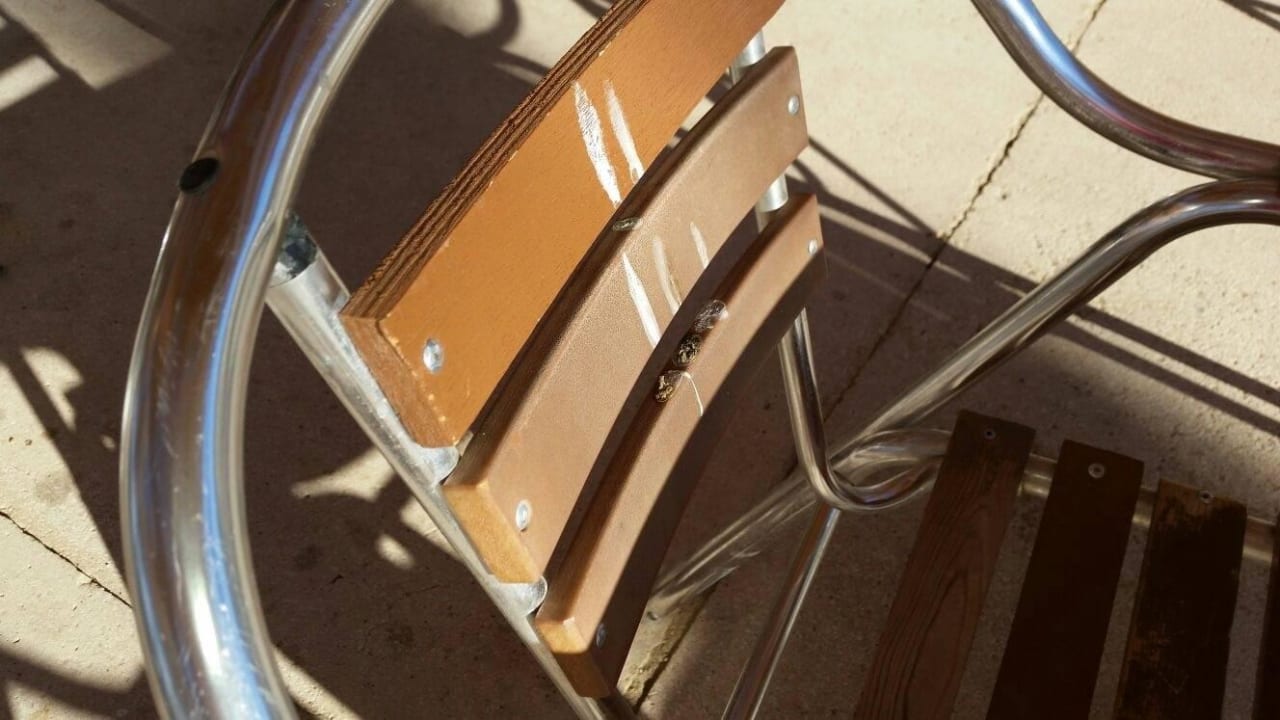 Alter Vogelkot auf Bachbar-stühlen ... lecker Stella Beach Resort & Spa Makadi Bay