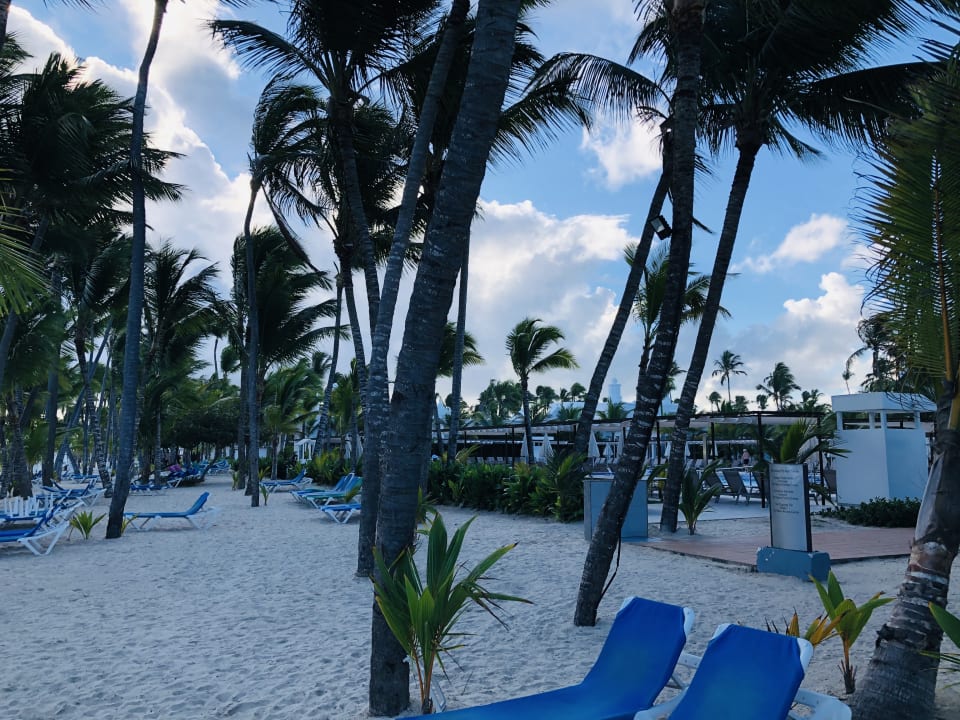 Strand Hotel Riu Palace Punta Cana