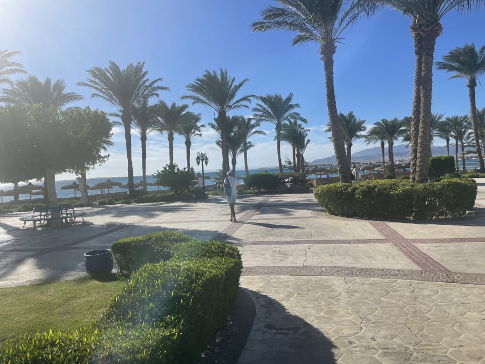 Gartenanlage Palm Royale Resort - Soma Bay