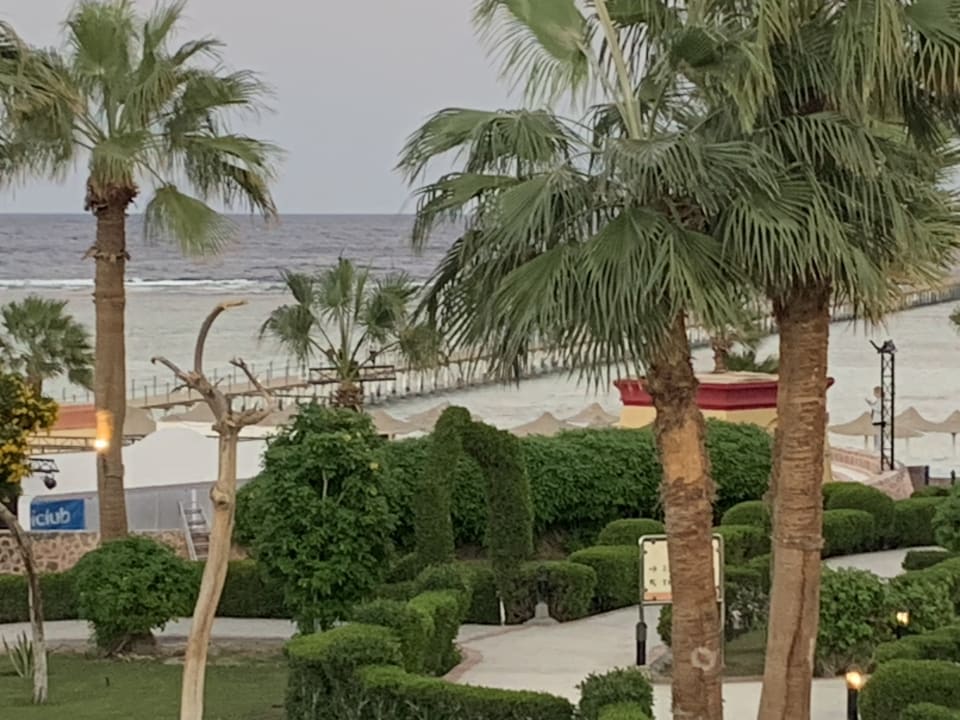 Gartenanlage Blue Reef Marsa Alam - All inclusive