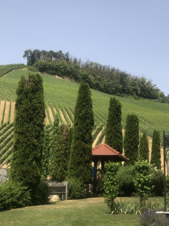 Gartenanlage Hotel Restaurant Rebstock Durbach