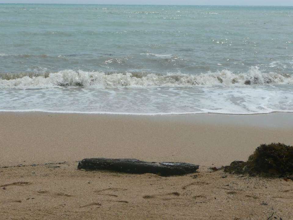Das dreckige Meer am Aree Beach Resort Hotel Aree Beach Resort