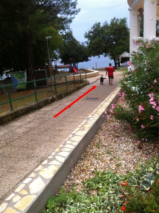 Keine Hunde Maistra Select Funtana All Inclusive Resort