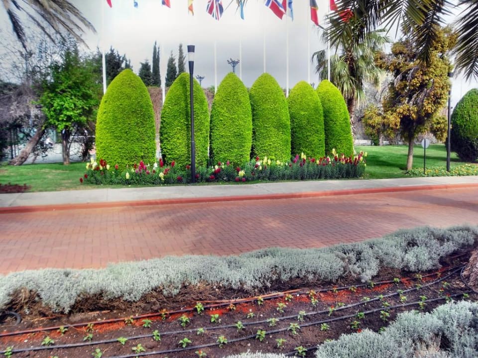 Gartengestaltung Side Star Elegance