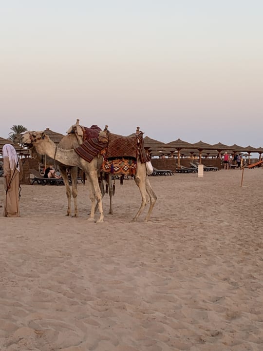 Strand ROBINSON SOMA BAY