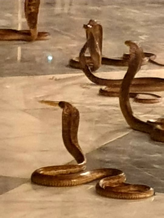 Sport & Freizeit Malikia Resort Abu Dabbab