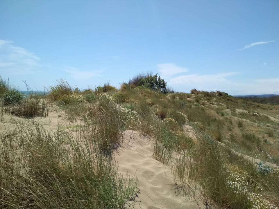 Strand Camping Club Domaine de la Yole