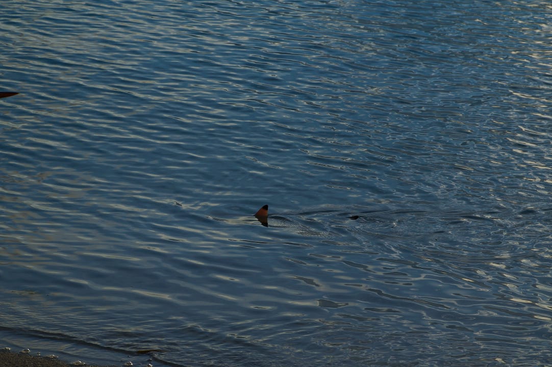 Strand Summer Island Maldives