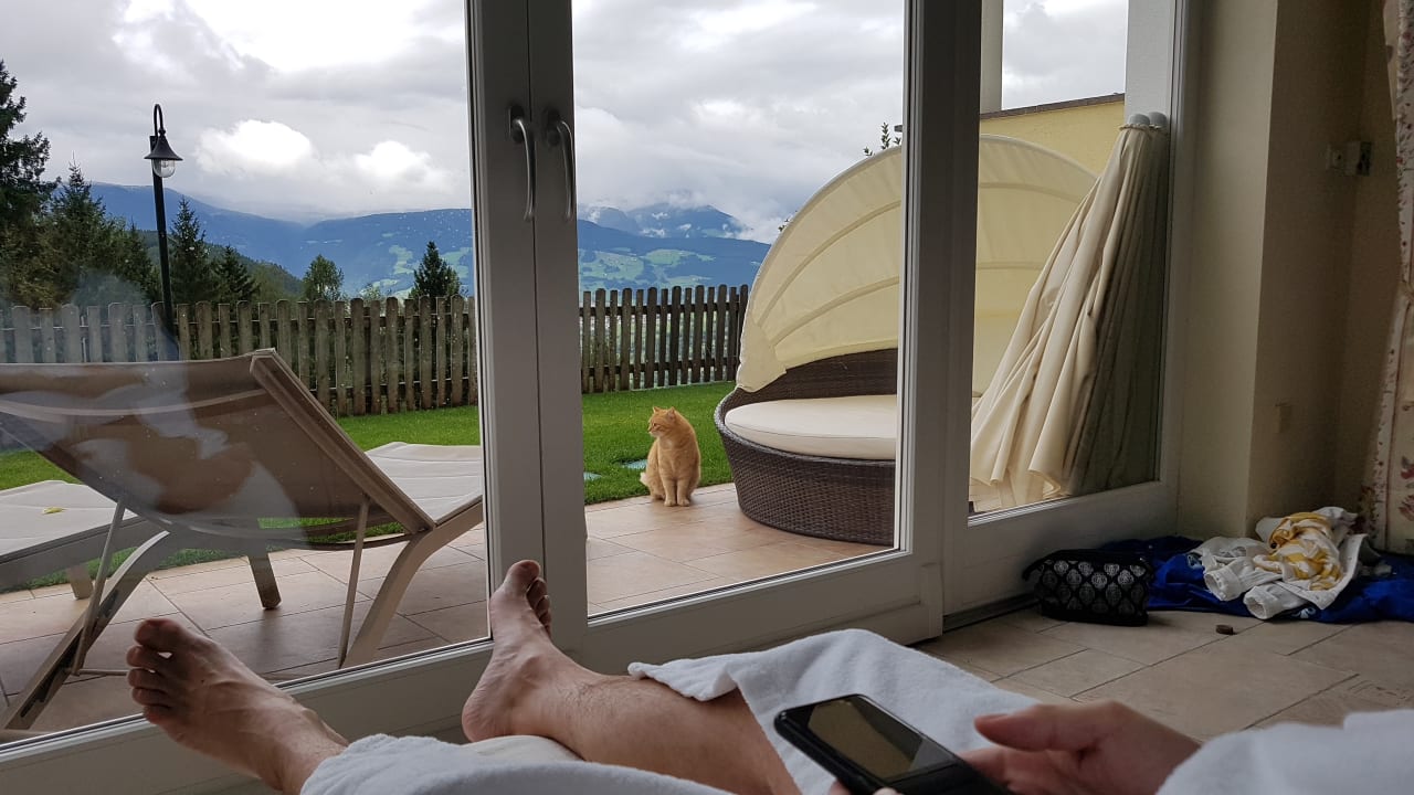 Ausblick Hotel Baumwirt