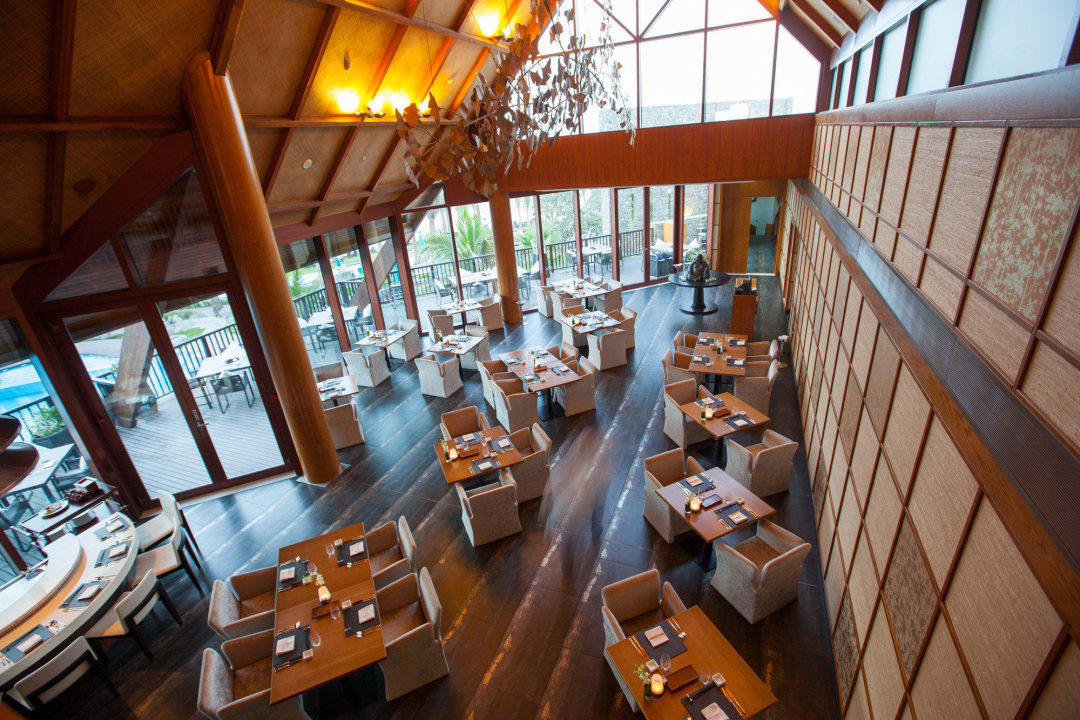 JA Palm Tree Court peacock JA Palm Tree Court