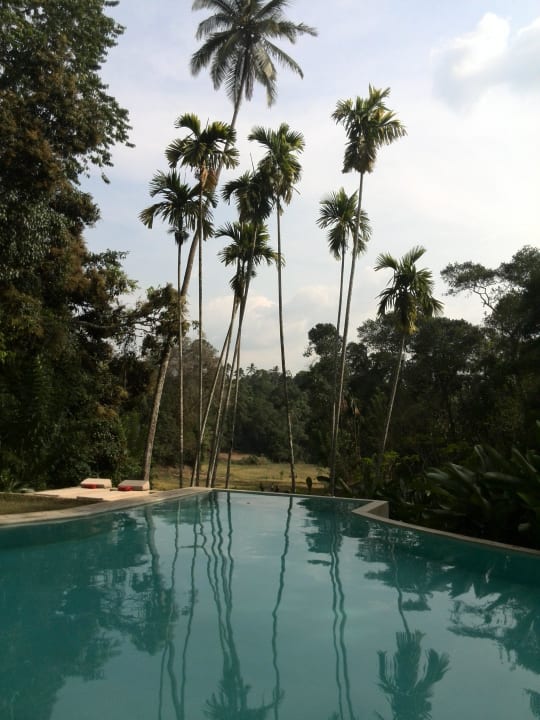 Traumhafter Infinity-Pool Hotel The Kandy House