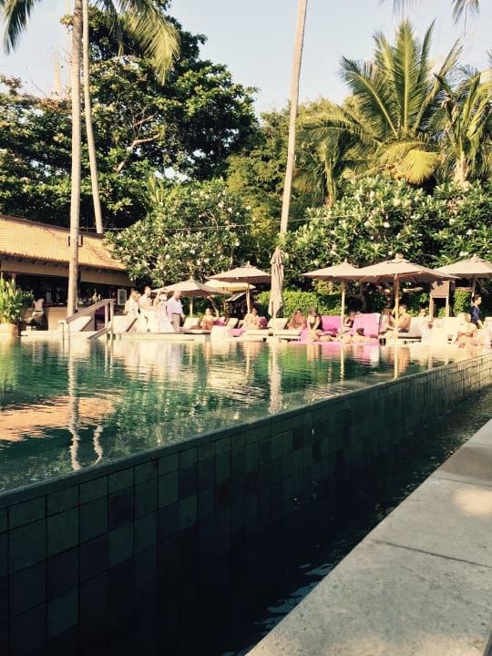 Pool  The Lamai Samui