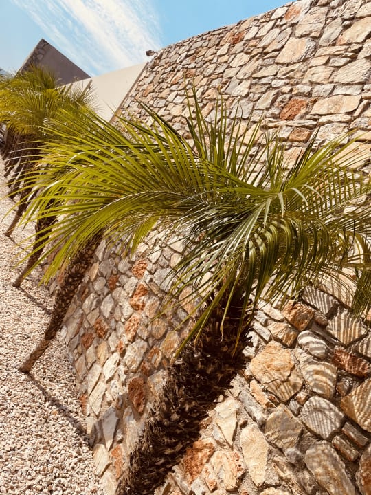 Sonstiges Hotel Akti Coast Club Marmari Kos