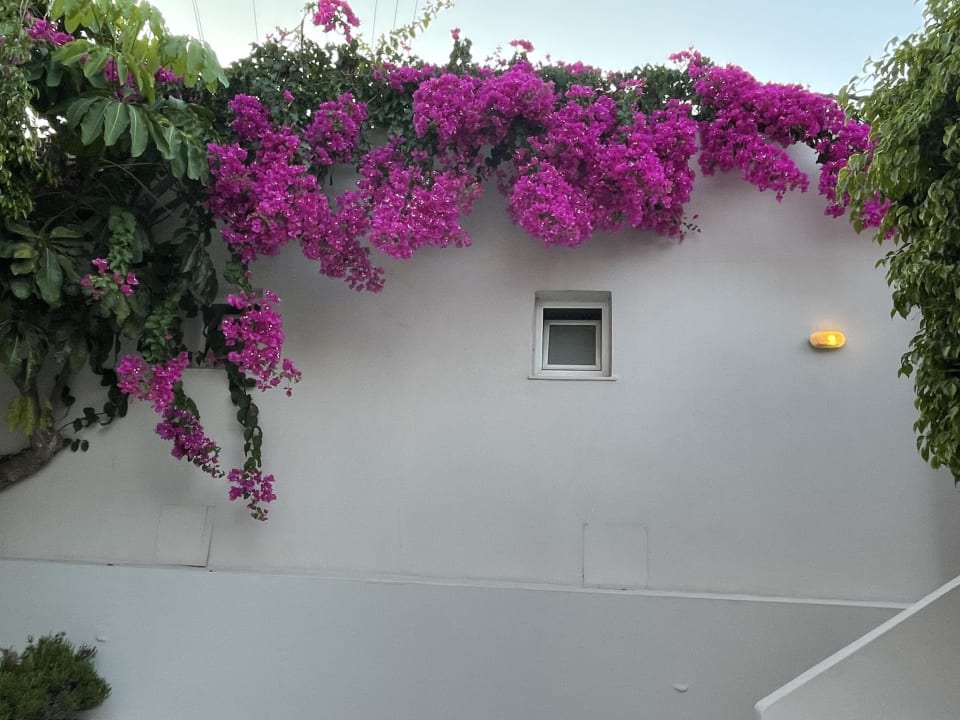 Gartenanlage Eurohotel Katrin Hotel & Bungalows