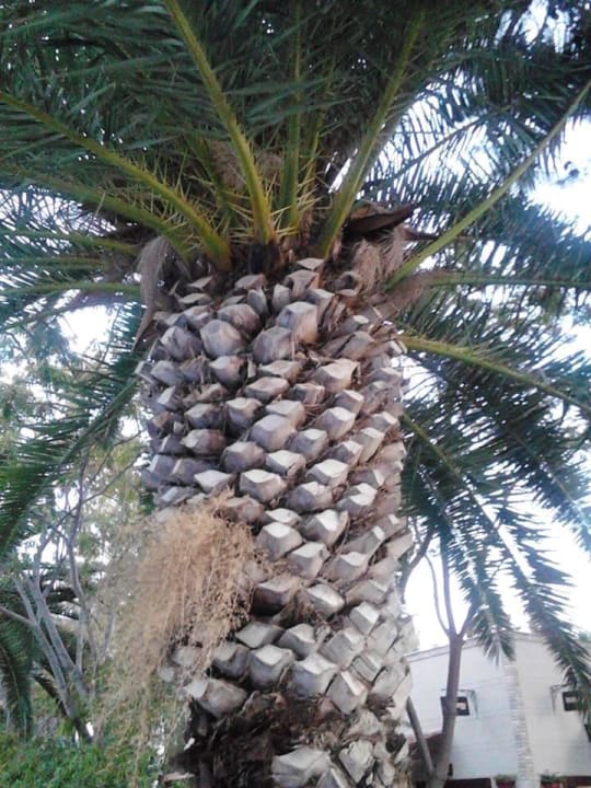 Traum! Mövenpick Resort Antalya Tekirova