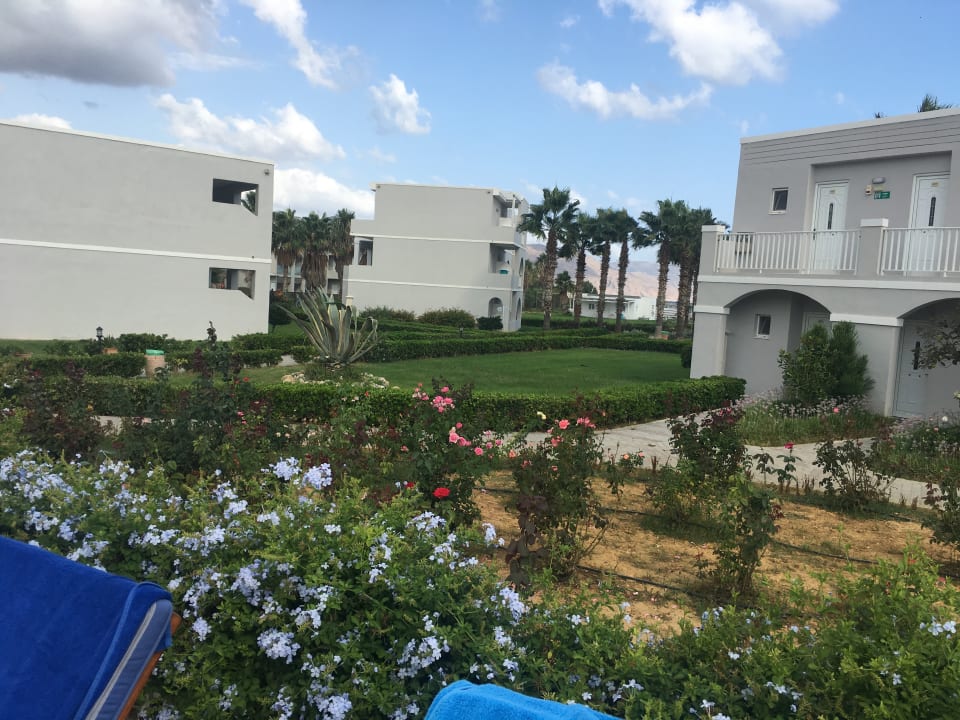 Gartenanlage Delfina Tropic Beach