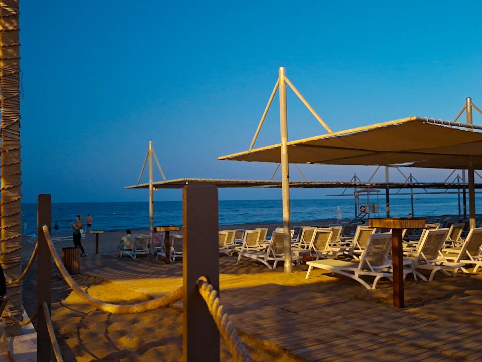 Strand Seashell Vega