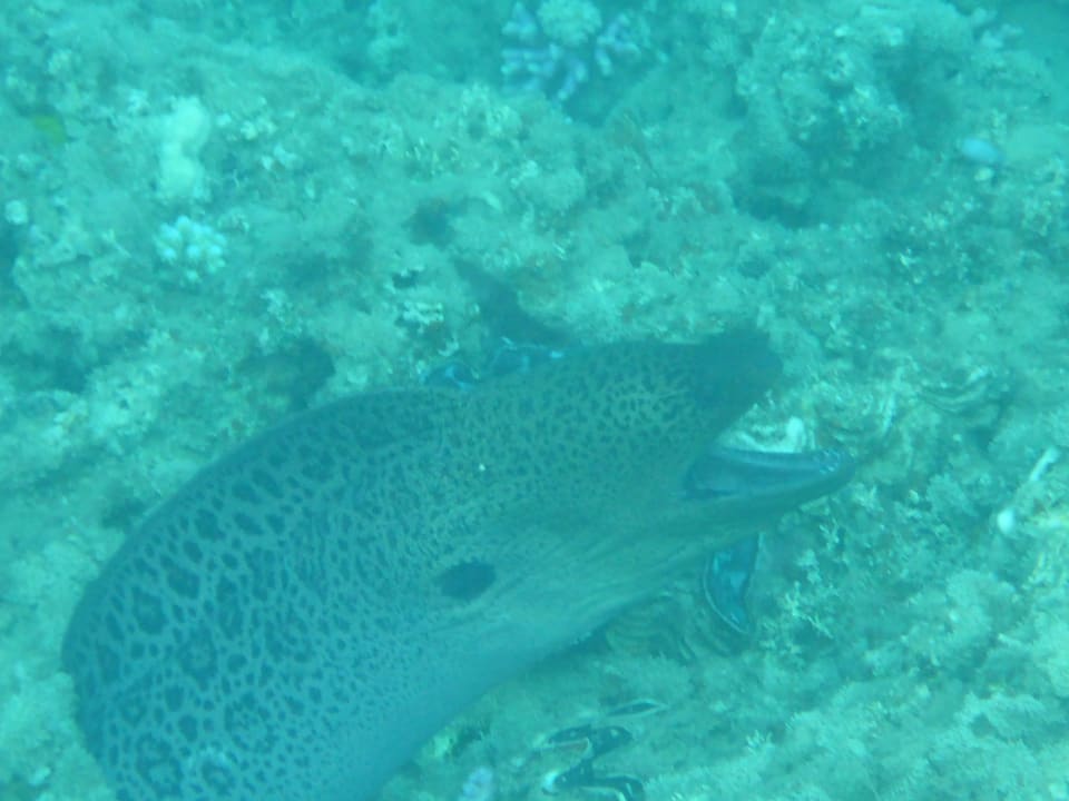 Strand Three Corners Equinox Beach Resort