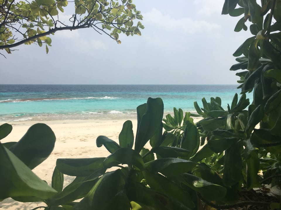 Strand NH Collection Maldives Reethi Resort