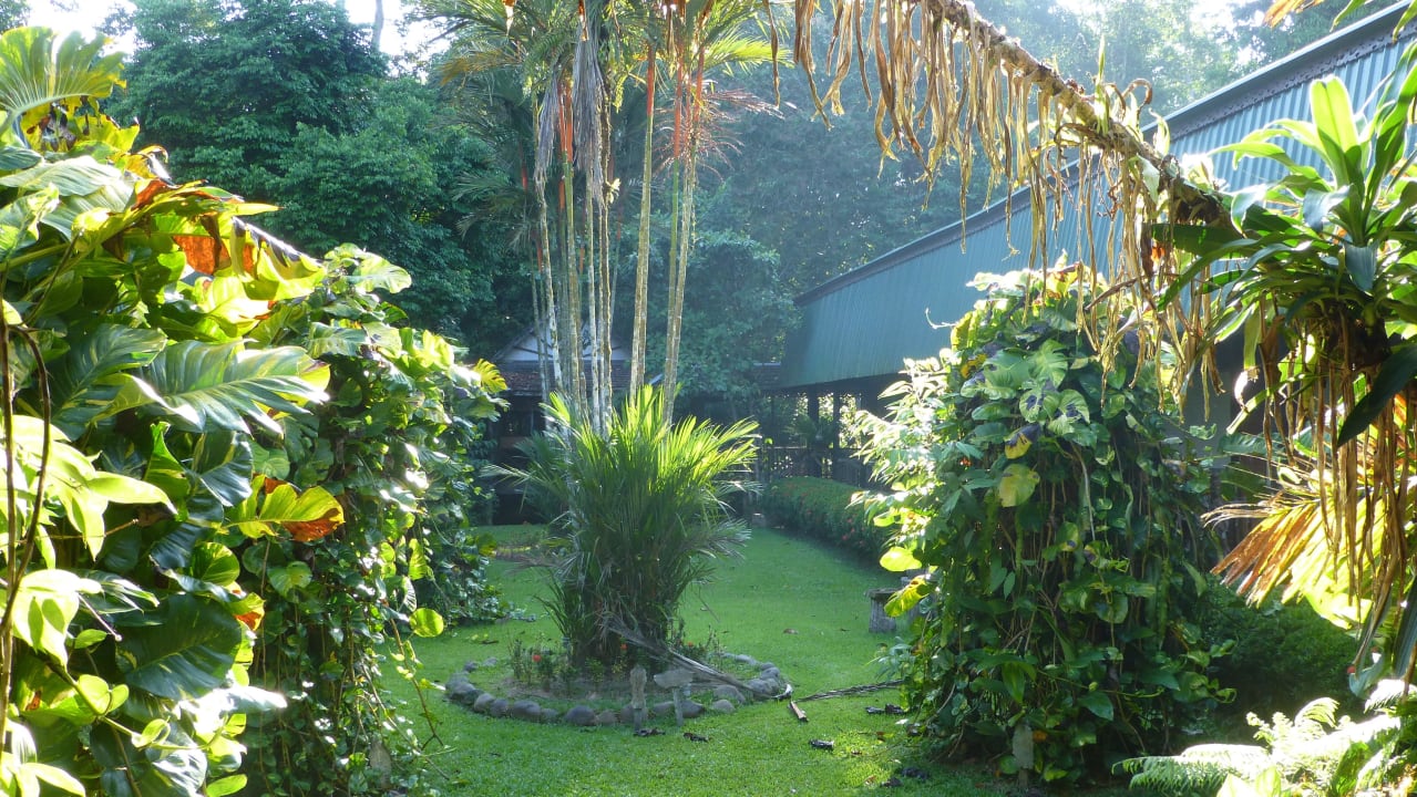 Schöne Anlage Hotel Sukau Rainforest Lodge