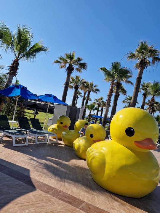 Pool Megasaray Club Belek