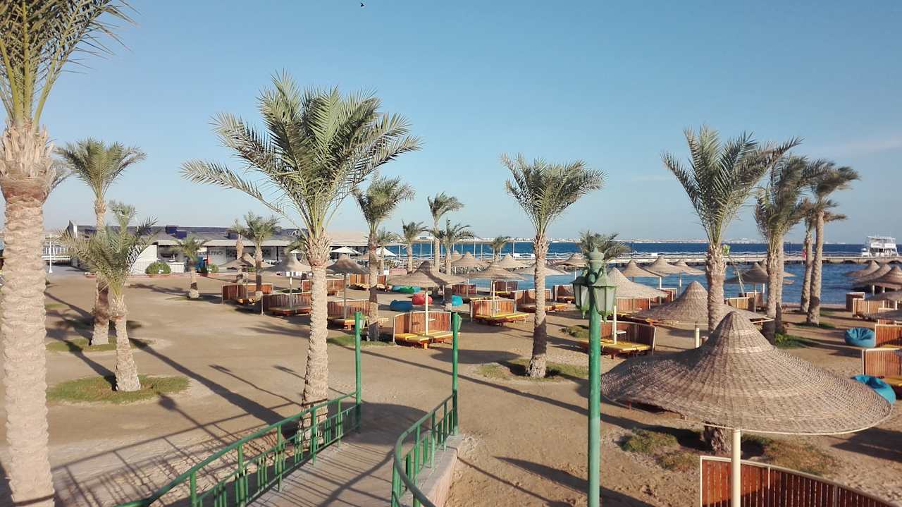 Ausblick Desert Rose