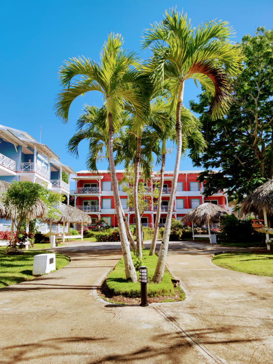 Gartenanlage Royalton Hicacos Resort & Spa - Adults only