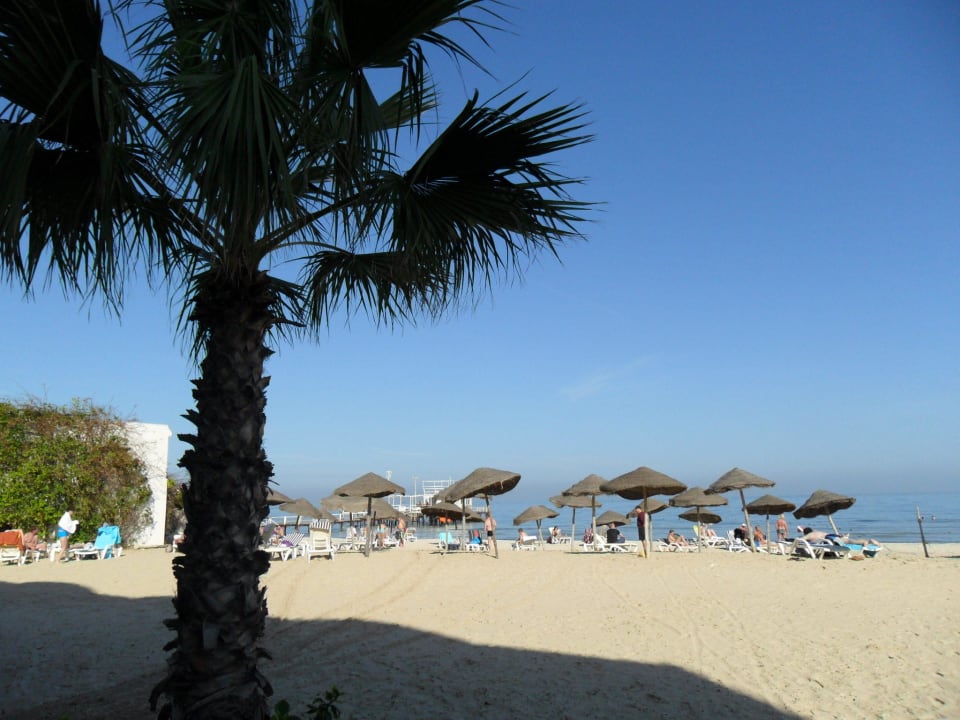 Si, si, c'était début décembre dernier! Alassio Hotel and Thalasso