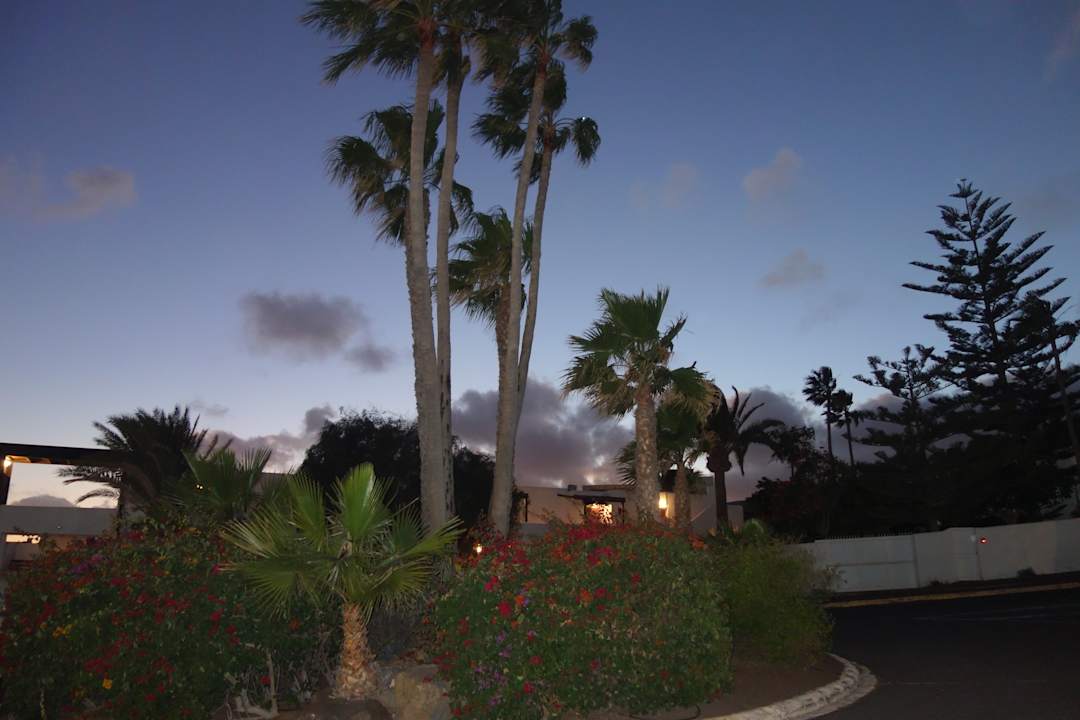 Außenansicht ROBINSON ESQUINZO PLAYA