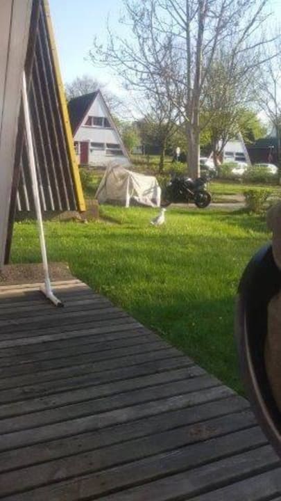 Terrasse vom Haus Ferienhauspark Asgard in Damp