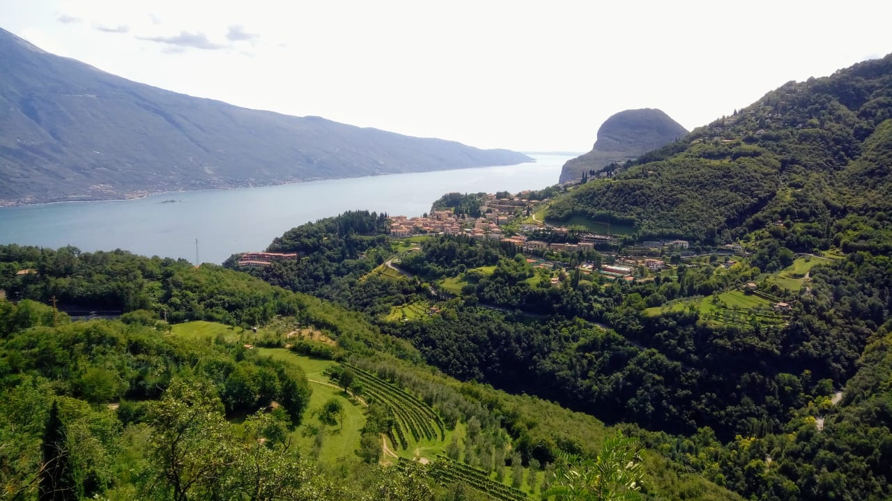 Ausblick Hotel Faver