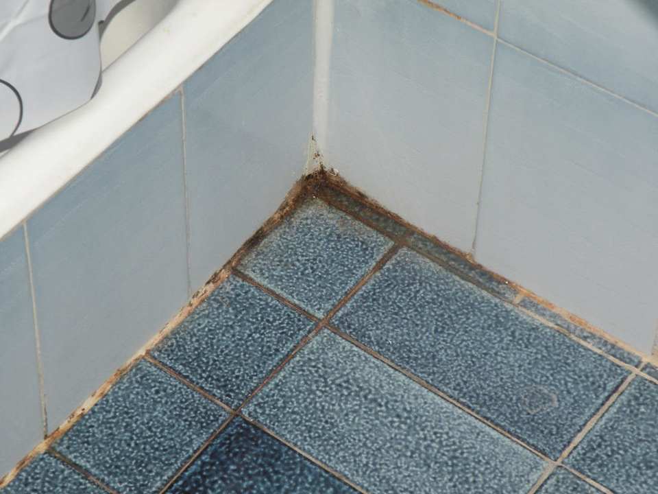 Łazienka Rivijera Villen & Dependance Flora & Madera