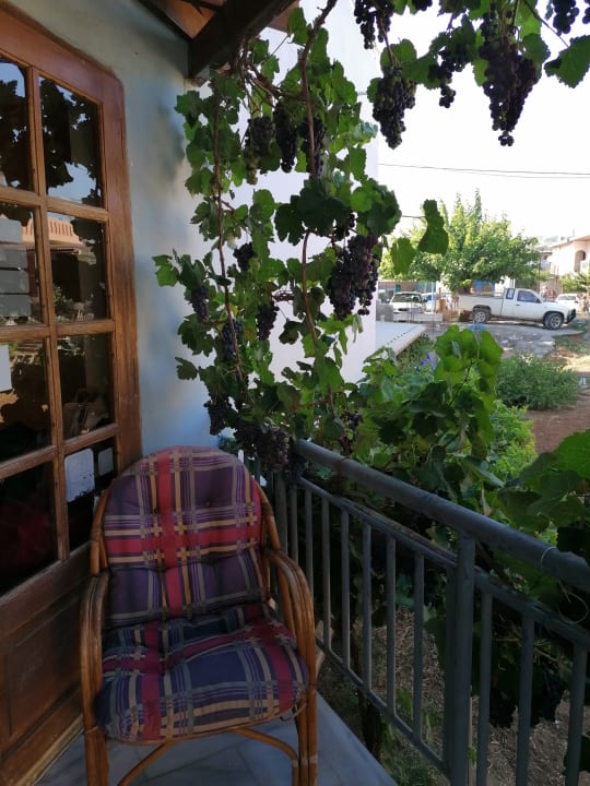 Gartenanlage Hotel Kathrin Beach