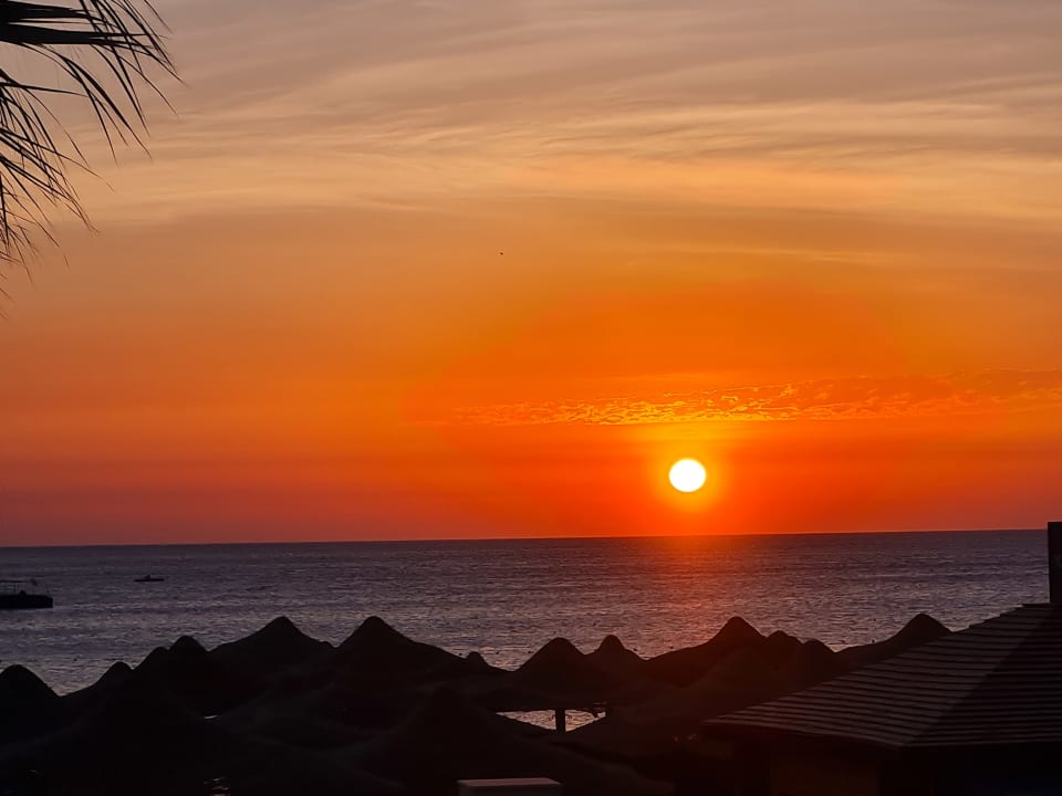 Ausblick Jaz Makadi Blue - TUI BLUE Makadi - Adults Friendly 16 Years Plus