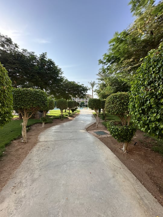 Gartenanlage JAZ Aquamarine Resort