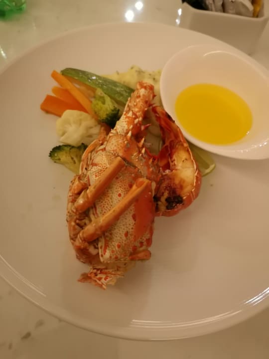 Gastro TRS Yucatan Hotel - Adults only