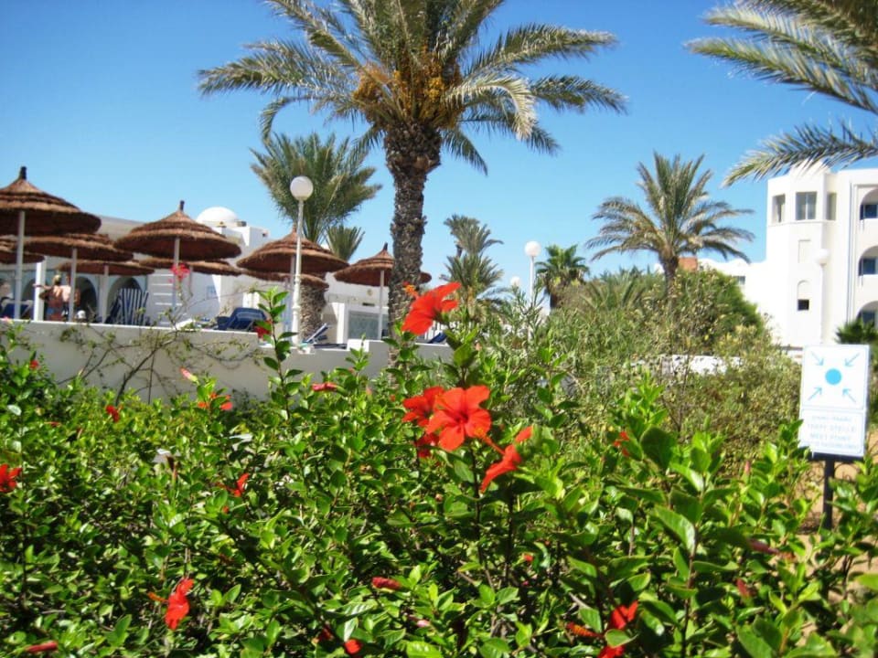 Gartenanlage Calimera Yati Beach