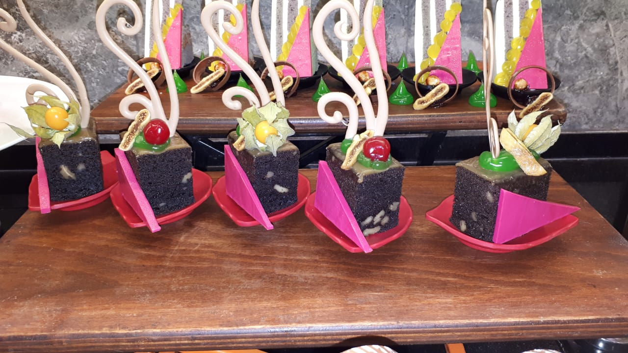 Gastro Seashell Vega