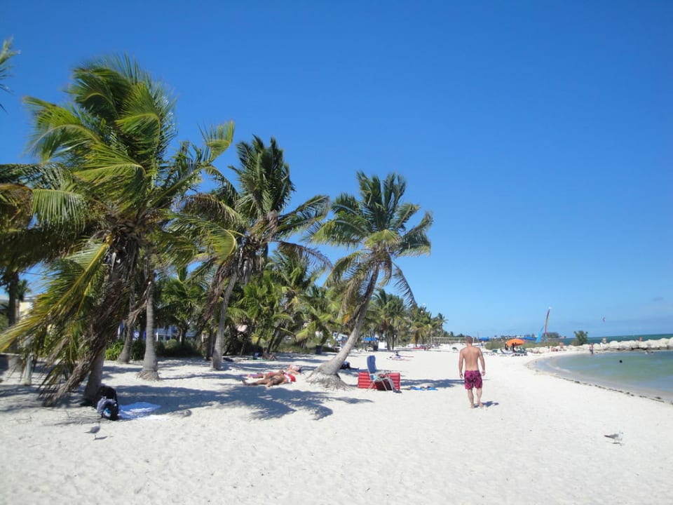 Traumhaft, nur über die Straße Hotel Sheraton Suites Key West