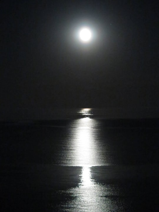 Fullmoon Rodos Palladium Leisure & Wellness