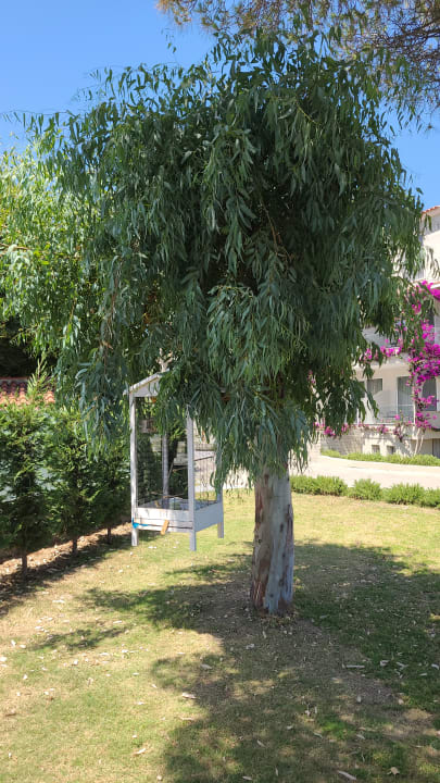 Gartenanlage Acharavi Beach Hotel