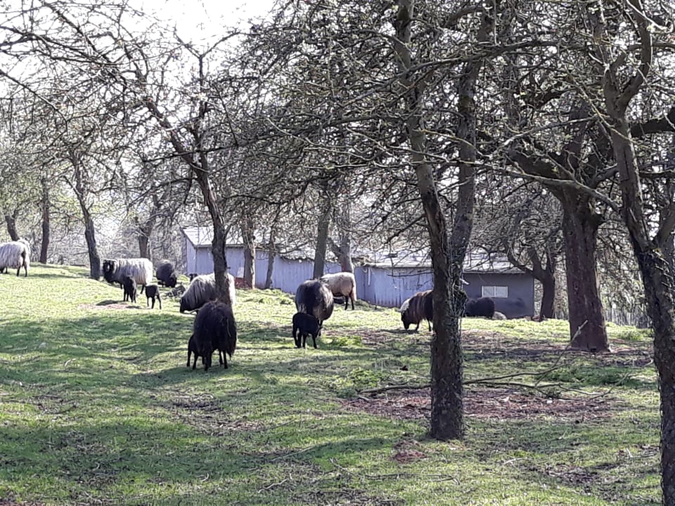 Sport & Freizeit Hotel am Vitalpark